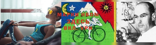 MDMA Premium VHQ Козловка