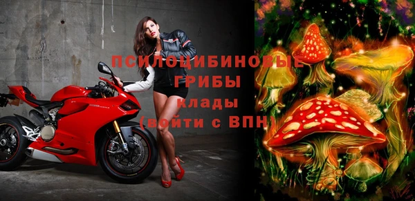 MDMA Premium VHQ Козловка