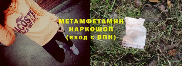 молекула духа Козельск