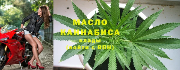 молекула духа Козельск