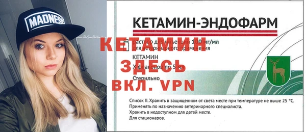молекула духа Козельск