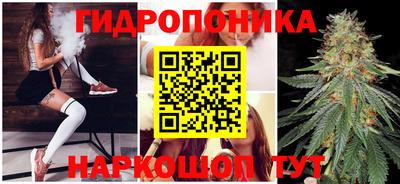 индика Апрелевка