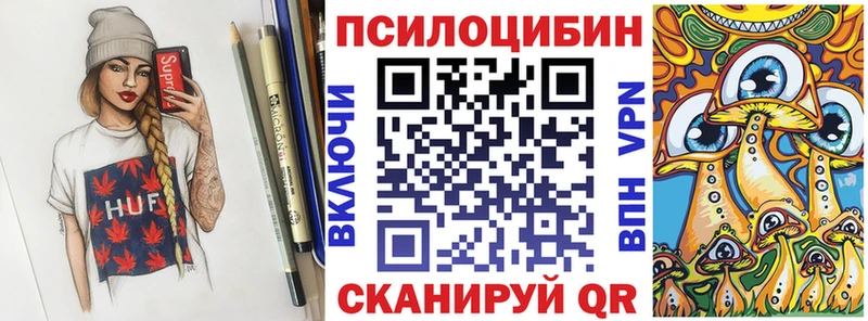 купить наркоту Астрахань блэк спрут как войти Псилоцибиновые грибы Cubensis