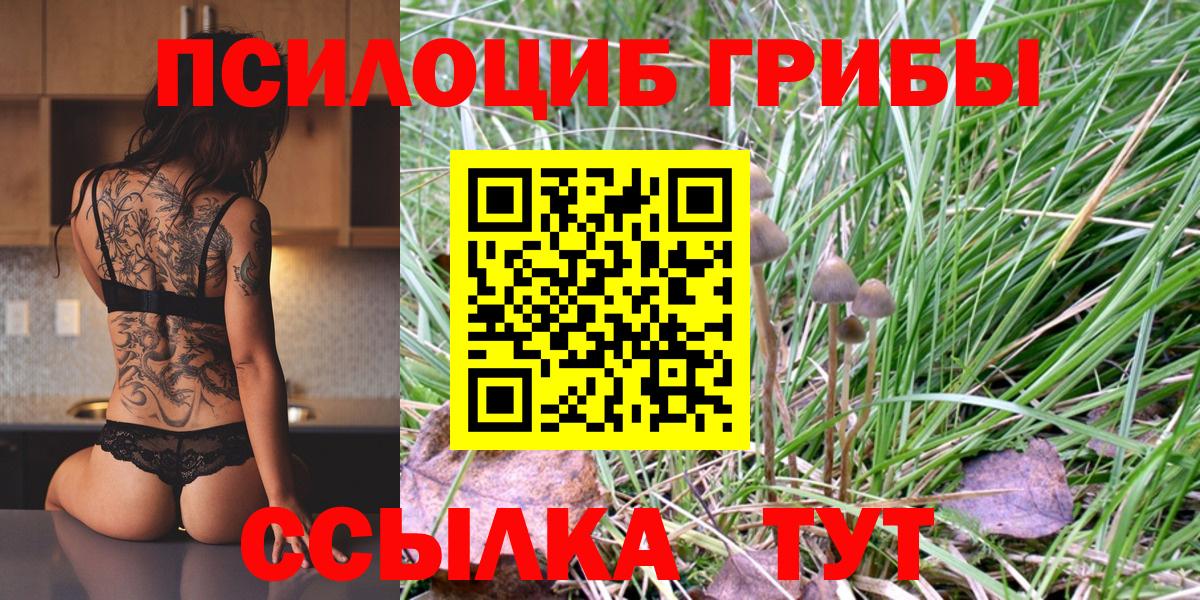 Астрахань  Псилоцибиновые грибы Psilocybine cubensis  Вход с VPN 