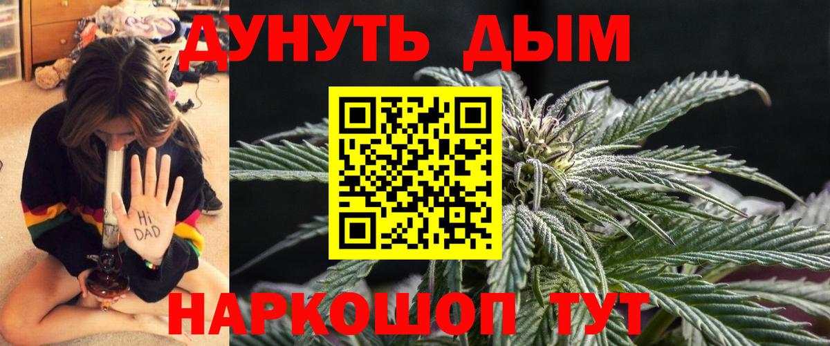 Бошки Шишки семена Астрахань